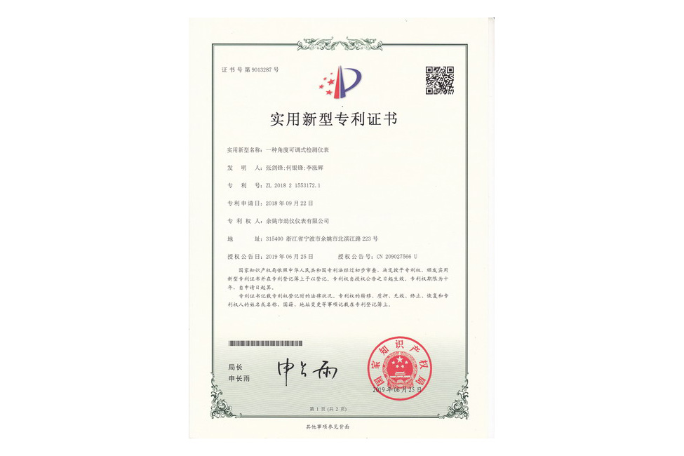 一种角度可调式结构仪表